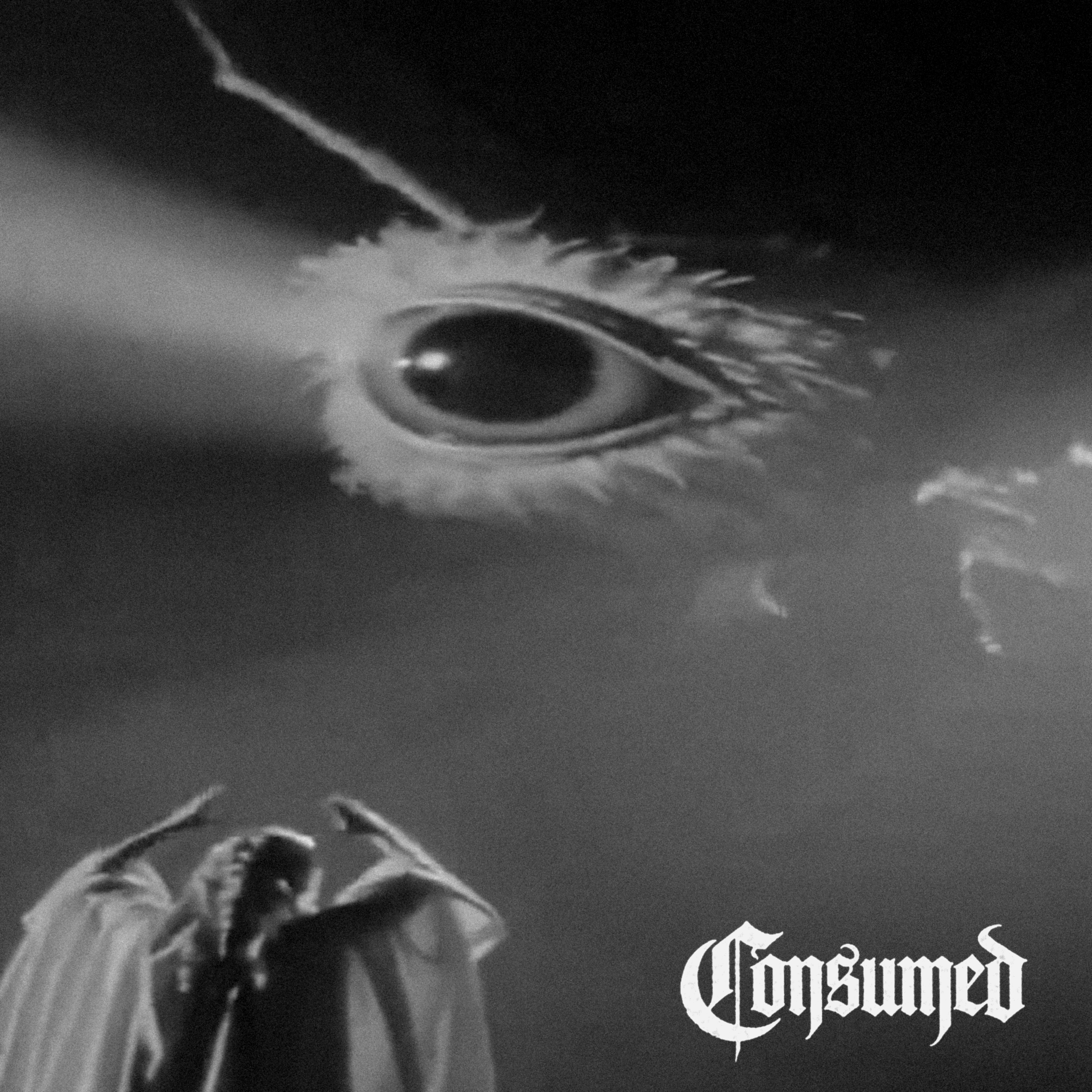 Consumed Cover Art